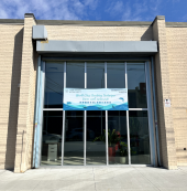 Dolphin Swimming Flagship Pool